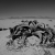 Welwitschia Drive, Namibia